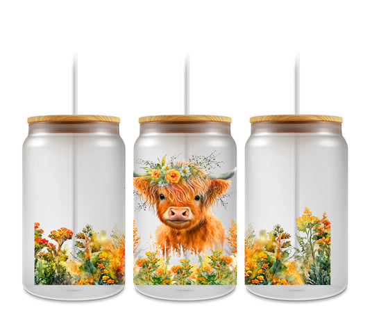 Highland cow