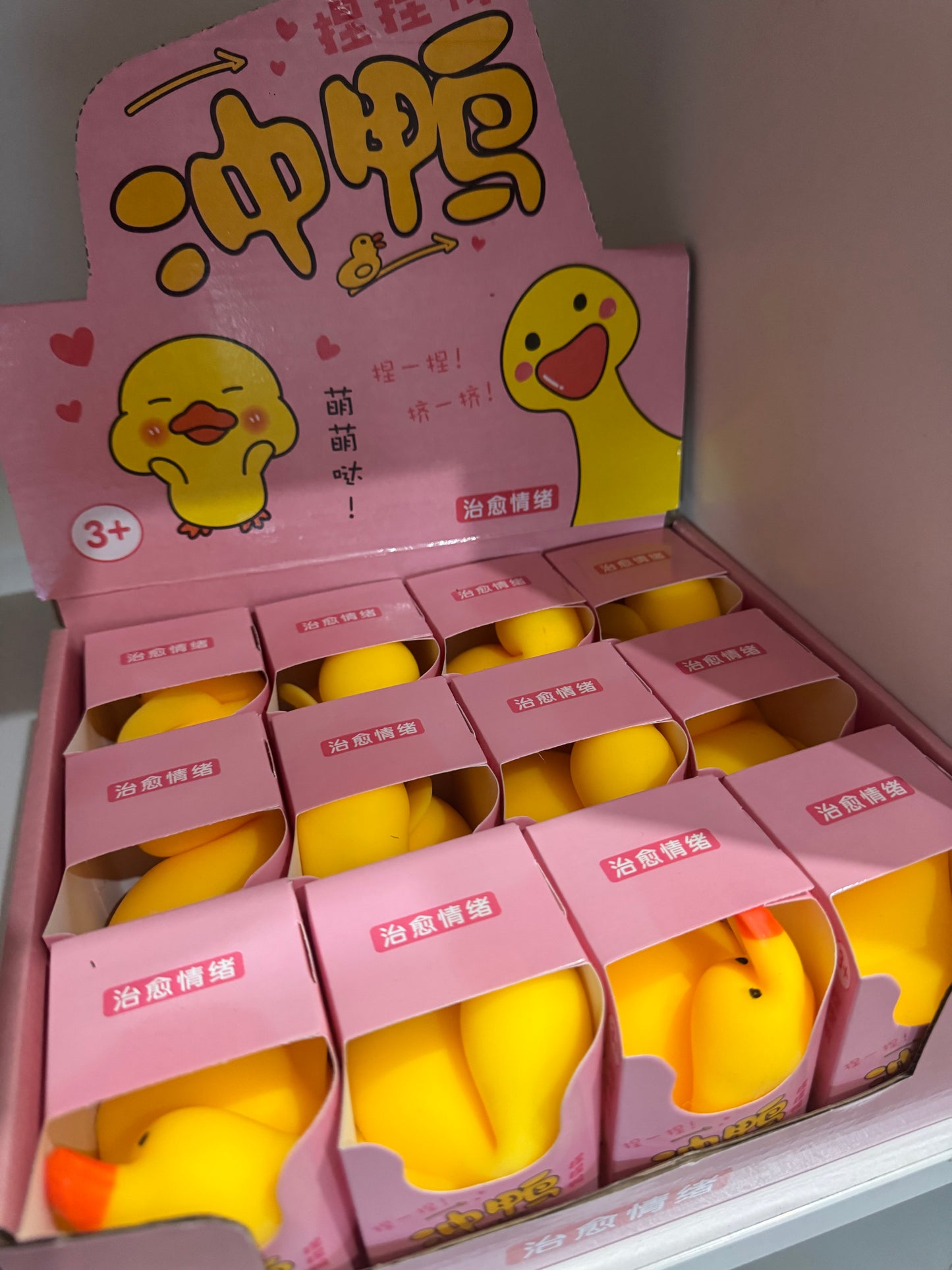 Ducks