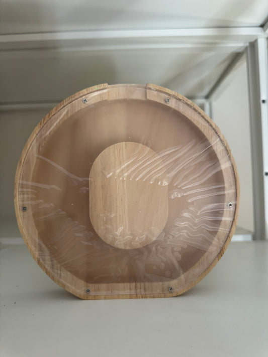 Letter O money box