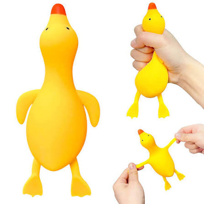 Ducks